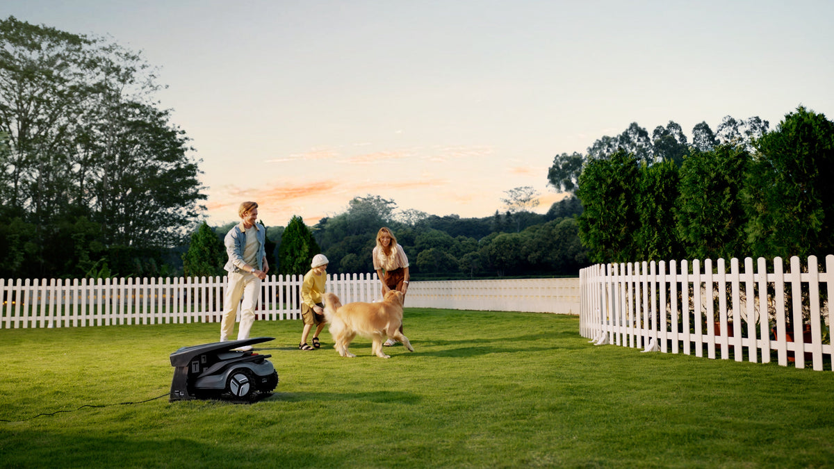 Robotic Lawn Mowers